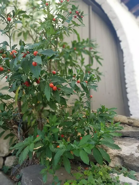 Hotel Lori'S Traditional House à Gjirokastër